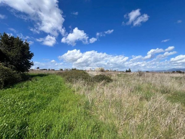 terreno agricolo in vendita ad Aprilia in zona Campo di Carne