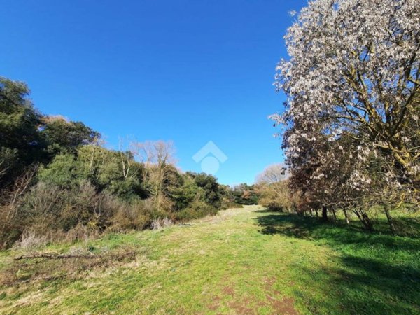 terreno agricolo in vendita ad Aprilia in zona Casalazzara