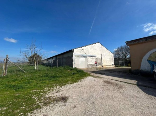 capannone in vendita ad Aprilia in zona Torre del Padiglione