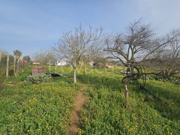 terreno agricolo in vendita ad Aprilia in zona Camilleri-Vallelata