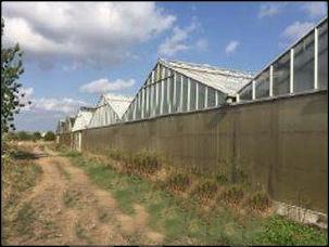 appartamento in vendita ad Aprilia in zona Torre del Padiglione