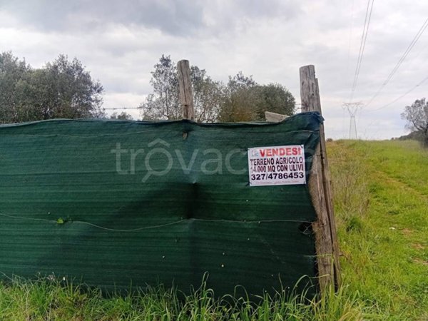 terreno agricolo in vendita ad Aprilia in zona Fossignano