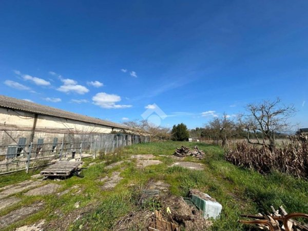 locale commerciale in vendita ad Aprilia in zona Torre del Padiglione