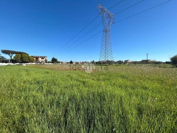 terreno agricolo in vendita ad Aprilia