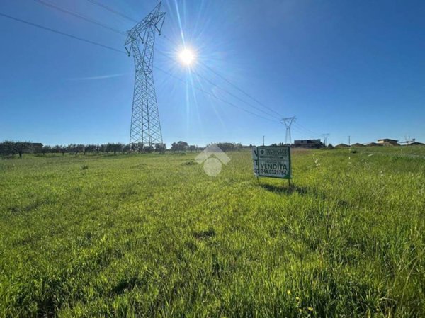 terreno agricolo in vendita ad Aprilia in zona Torre del Padiglione