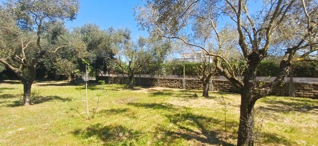 terreno agricolo in vendita ad Aprilia