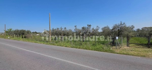 terreno agricolo in vendita ad Aprilia in zona Campoleone