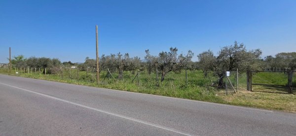 terreno agricolo in vendita ad Aprilia in zona Campoleone