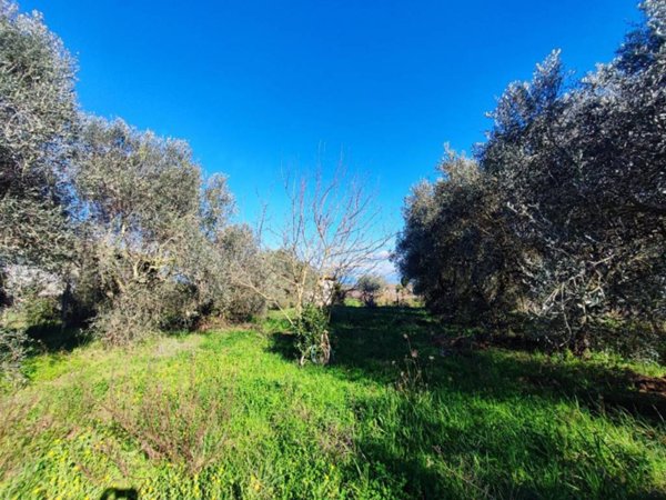 terreno agricolo in vendita ad Aprilia