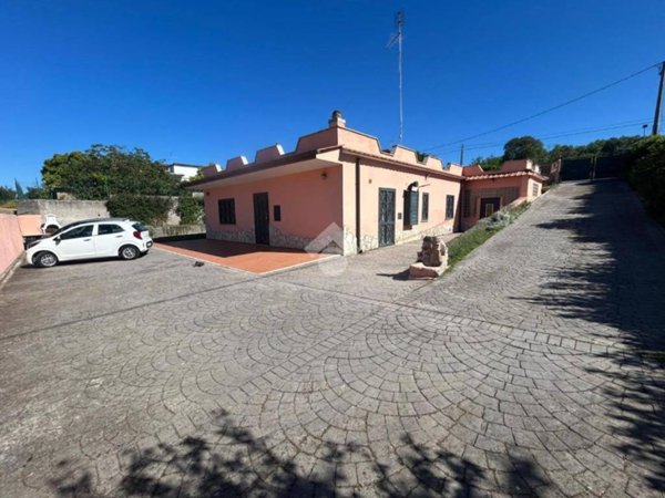 esavano in vendita ad Aprilia in zona Fossignano