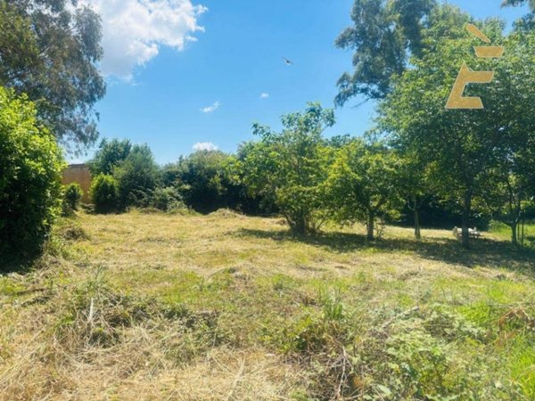 terreno agricolo in vendita ad Aprilia in zona Campo di Carne