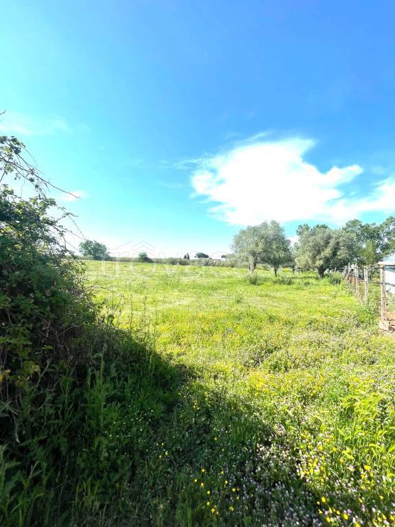 terreno agricolo in vendita ad Aprilia