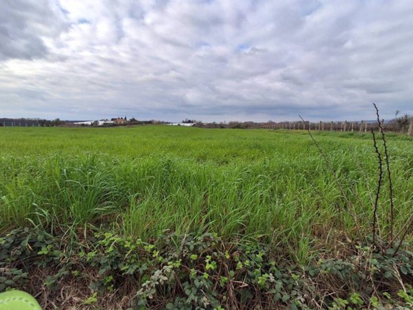 terreno agricolo in vendita ad Aprilia in zona Campoleone