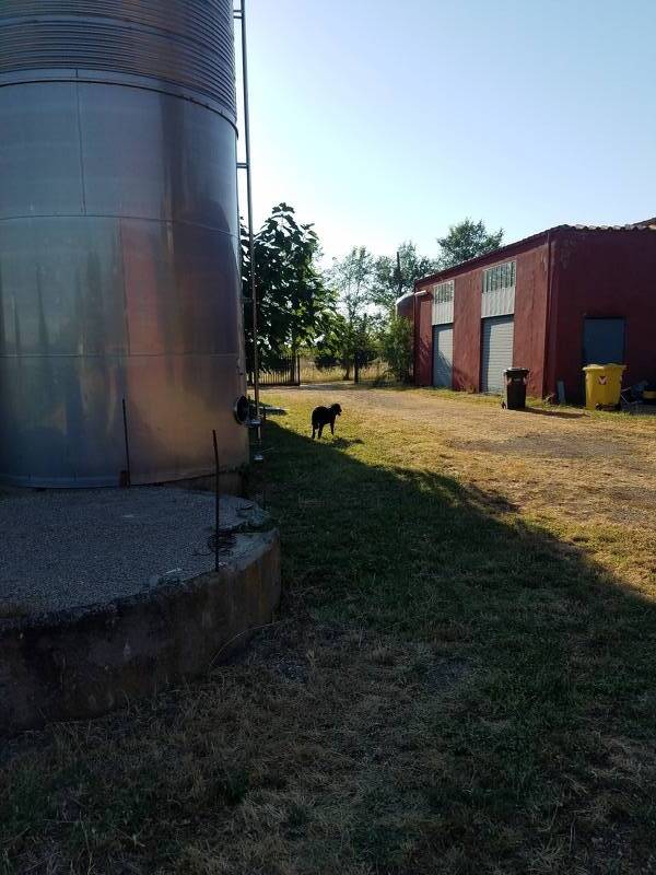 terreno agricolo in vendita ad Aprilia