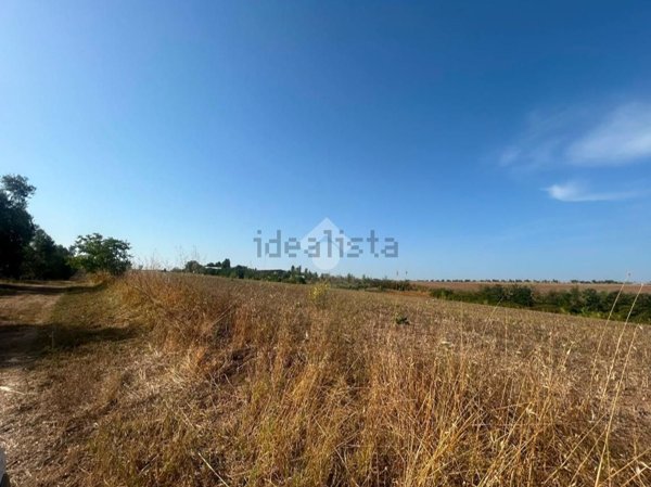 terreno agricolo in vendita ad Aprilia