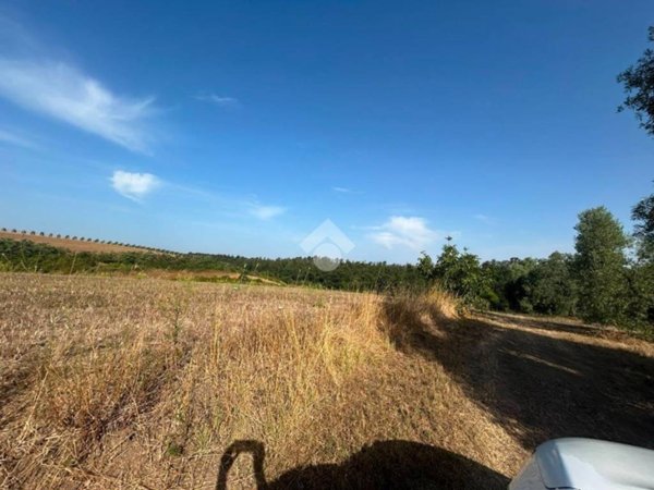 terreno agricolo in vendita ad Aprilia