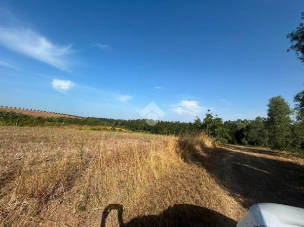 terreno agricolo in vendita ad Aprilia
