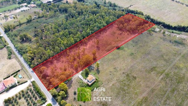 terreno agricolo in vendita ad Aprilia