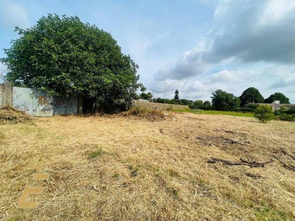 terreno in vendita ad Aprilia in zona Campo di Carne