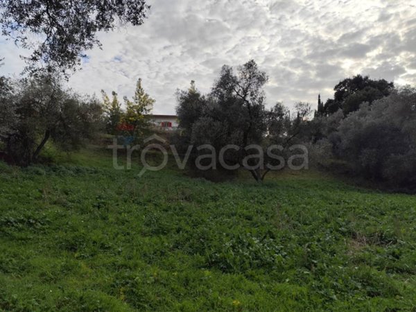 terreno in vendita ad Aprilia in zona Cogna