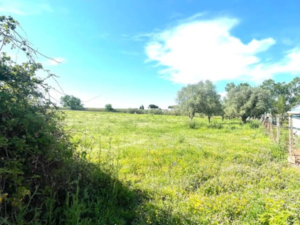 terreno in vendita ad Aprilia