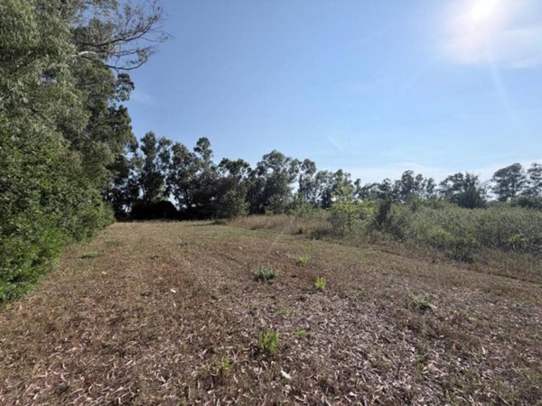 terreno agricolo in vendita ad Aprilia