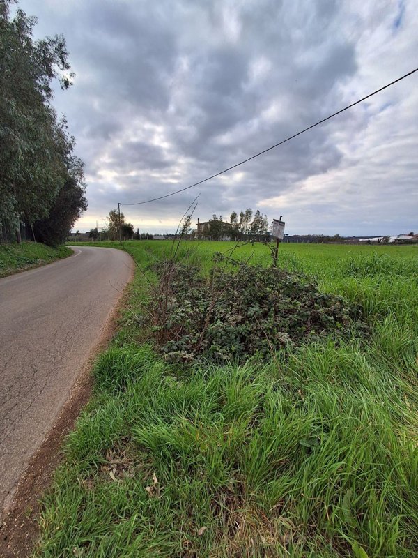terreno in vendita ad Aprilia