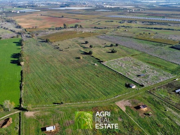 terreno in vendita ad Aprilia