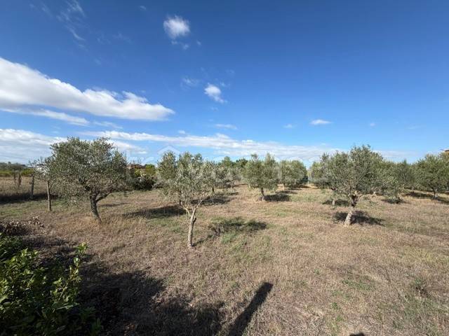 terreno in vendita ad Aprilia in zona Campoverde