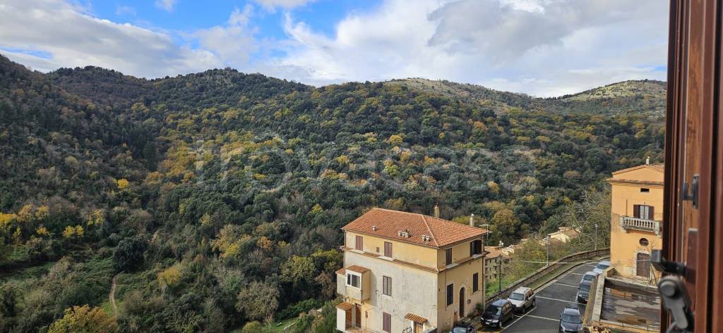 appartamento in vendita a Bassiano