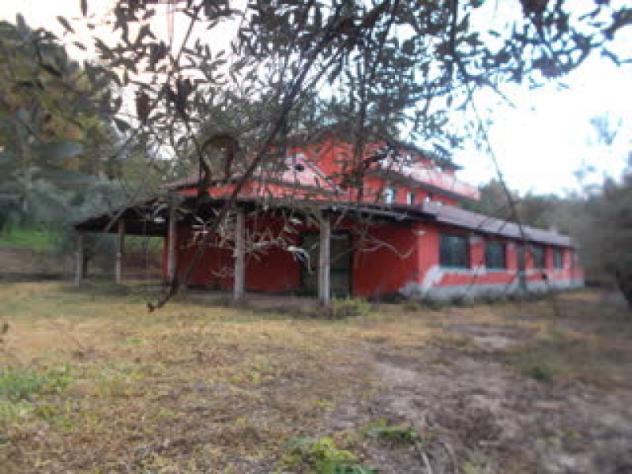 casa indipendente in vendita a Bassiano