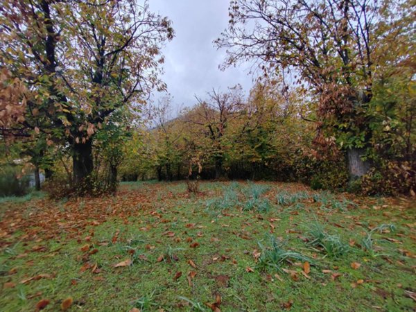 terreno agricolo in vendita a Bassiano