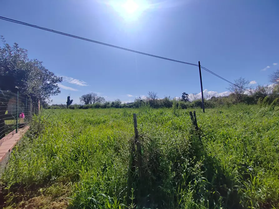 terreno agricolo in vendita a Bassiano