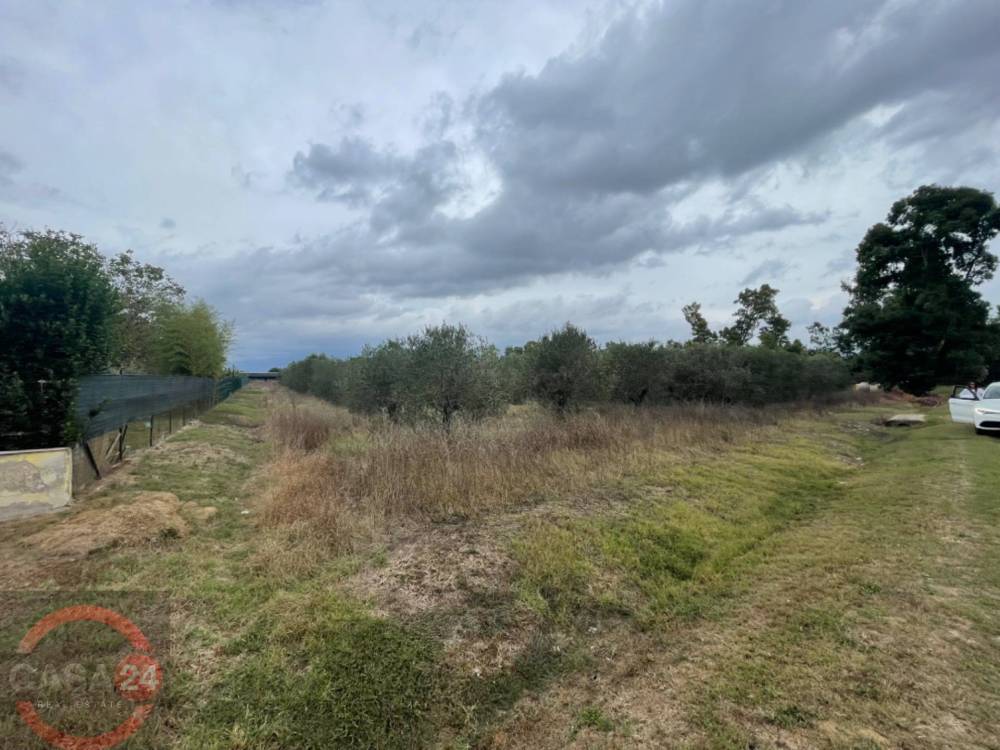terreno agricolo in vendita a Bassiano