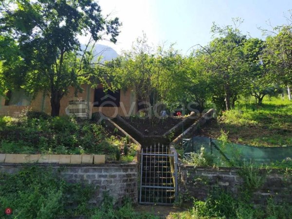casa indipendente in vendita a Bassiano