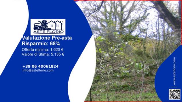 terreno agricolo in vendita a Bassiano