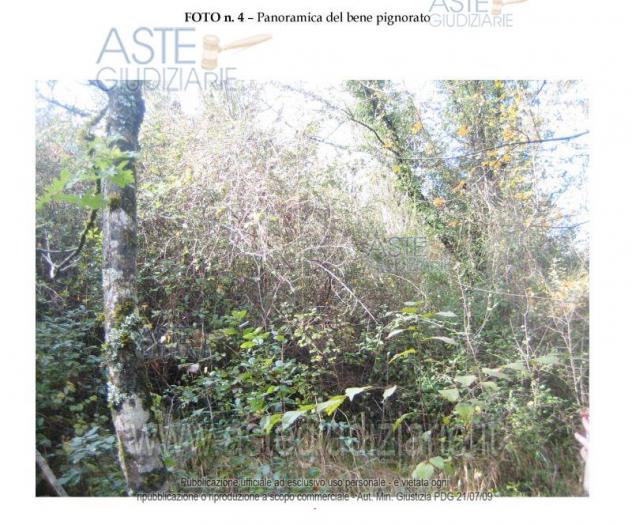 terreno agricolo in vendita a Bassiano