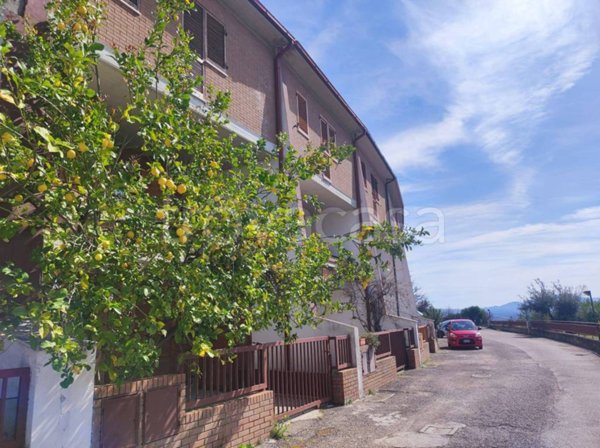 casa indipendente in vendita a Castelforte