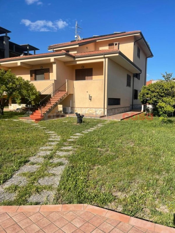 immagine annuncio 0 di 15