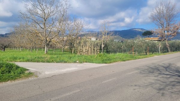terreno edificabile in vendita a Castelforte