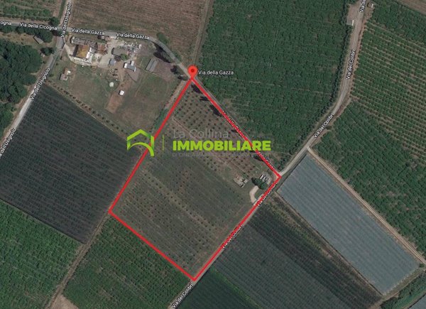 terreno agricolo in vendita a Cisterna di Latina in zona Olmobello