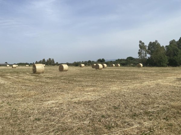 terreno agricolo in vendita a Cisterna di Latina in zona Olmobello