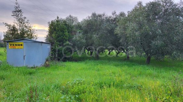 terreno agricolo in vendita a Cisterna di Latina in zona Prato Cesarino