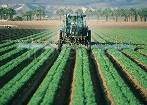 azienda agricola in vendita a Cisterna di Latina