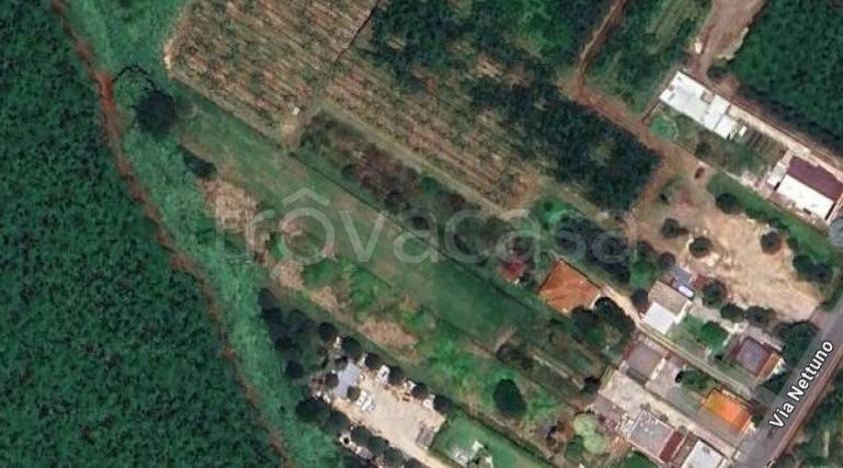terreno agricolo in vendita a Cisterna di Latina