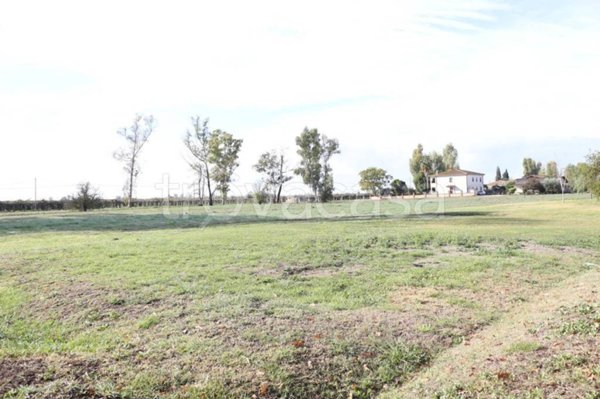 terreno agricolo in vendita a Cisterna di Latina in zona Prato Cesarino