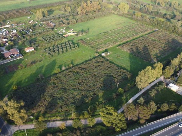 terreno agricolo in vendita a Cisterna di Latina