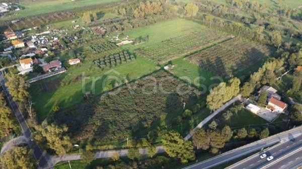 terreno agricolo in vendita a Cisterna di Latina