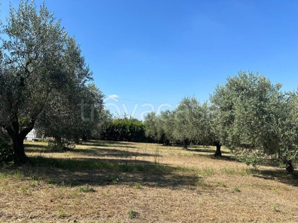 appartamento in vendita a Cisterna di Latina