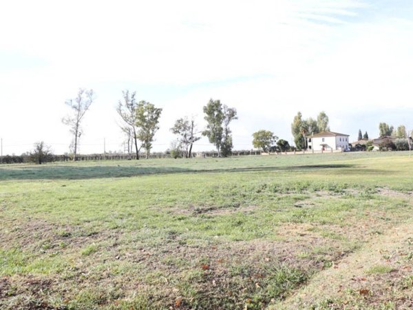 terreno agricolo in vendita a Cisterna di Latina in zona Prato Cesarino